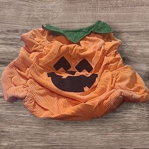 DOG HALLOWEEN BOOTIQUE PUMPKIN COSTUME